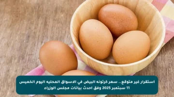 استقرار غير متوقع.. سعر كرتونة البيض في الأسواق المحلية اليوم الخميس 11 سبتمبر 2025 وفق أحدث بيانات مجلس الوزراء